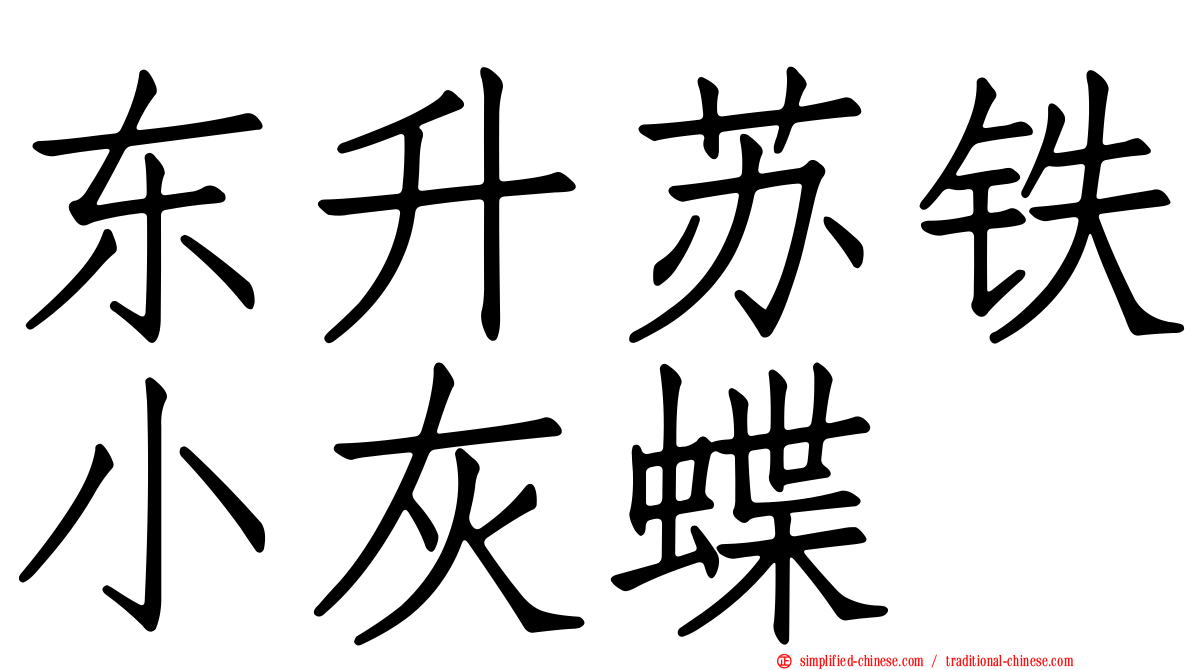 东陞苏铁小灰蝶
