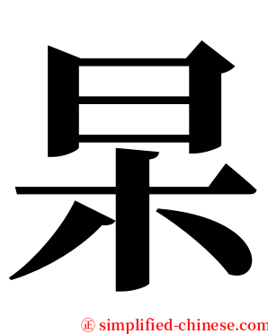 杲 serif font