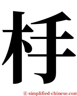 杽 serif font