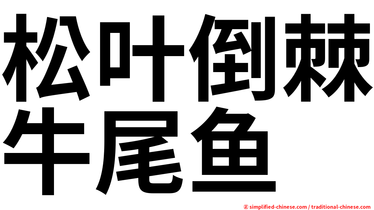 松叶倒棘牛尾鱼