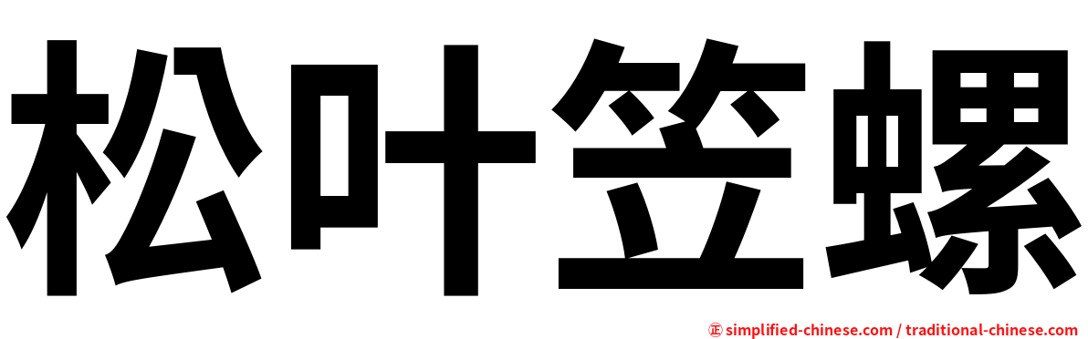 松叶笠螺