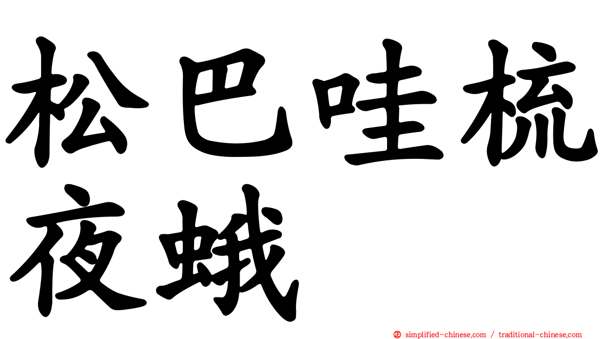 松巴哇梳夜蛾