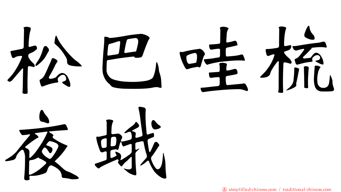 松巴哇梳夜蛾