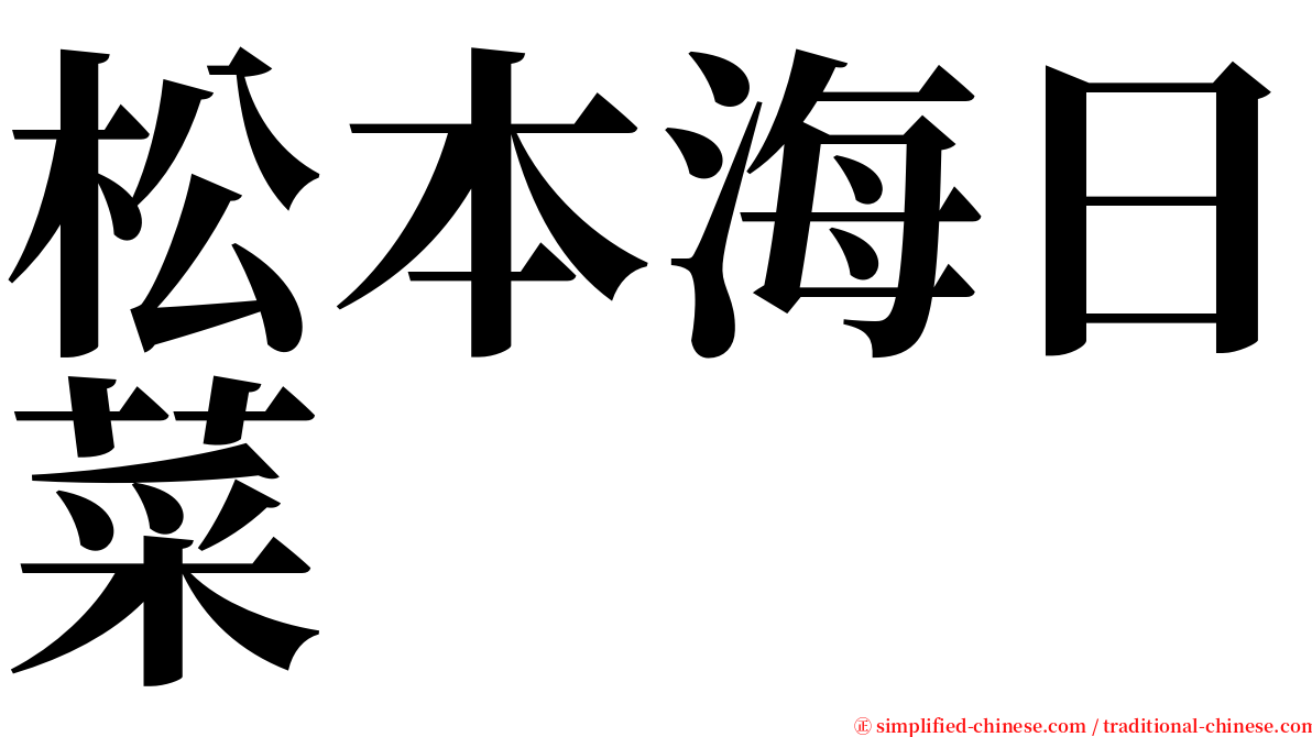 松本海日菜 serif font