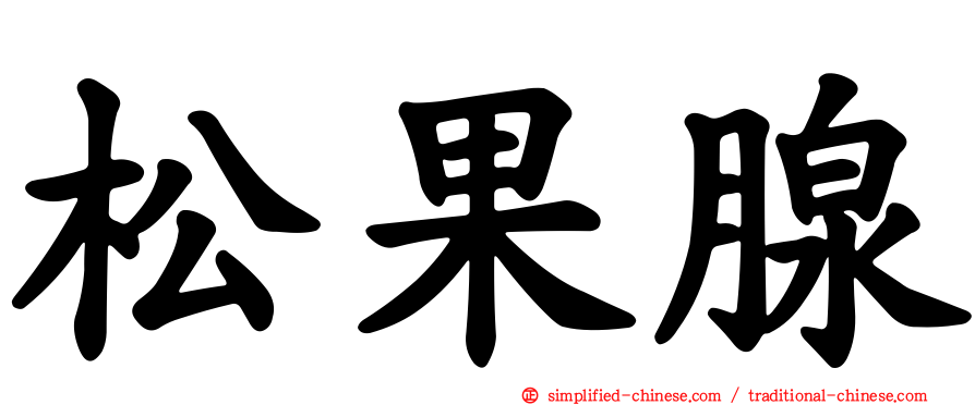 松果腺