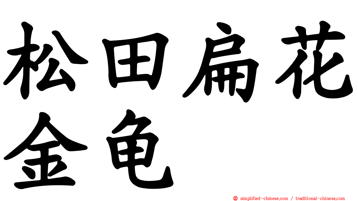 松田扁花金龟