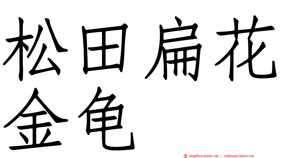 松田扁花金龟