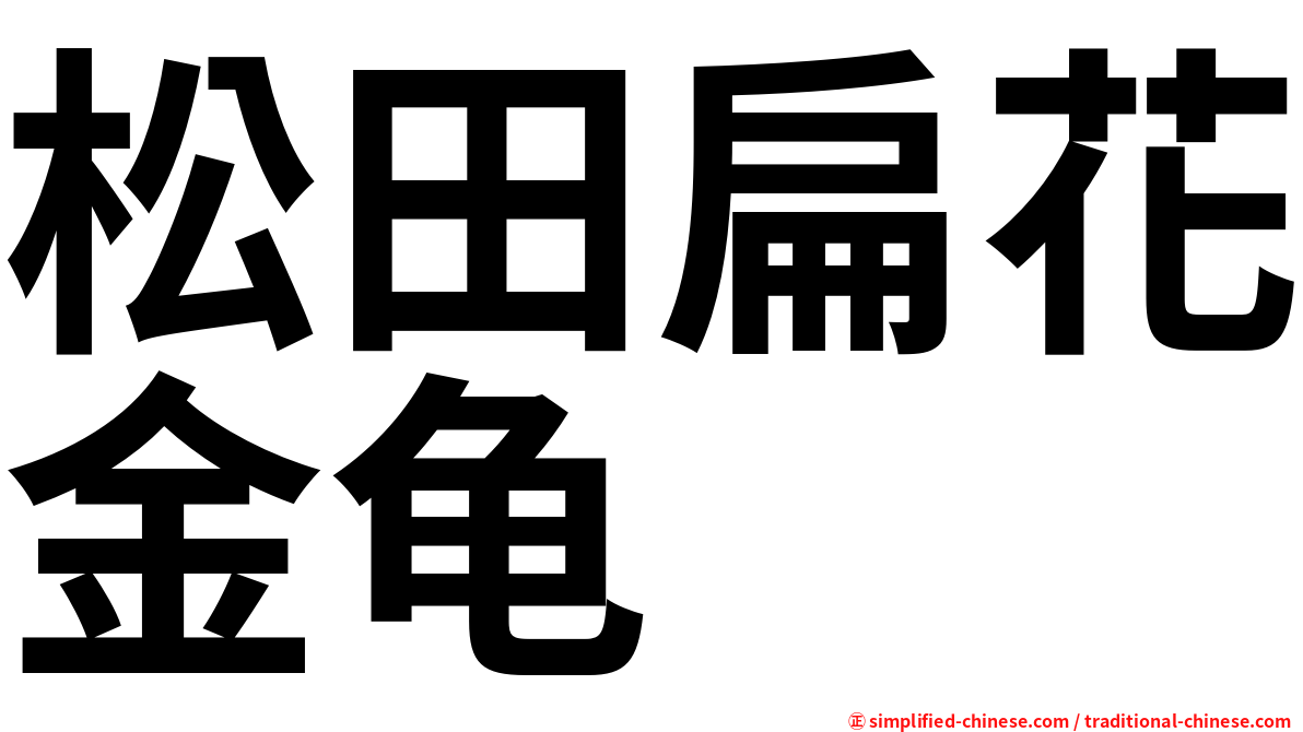 松田扁花金龟