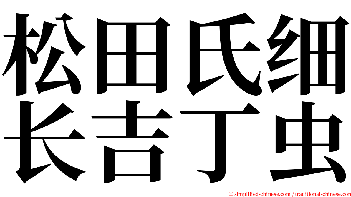 松田氏细长吉丁虫 serif font