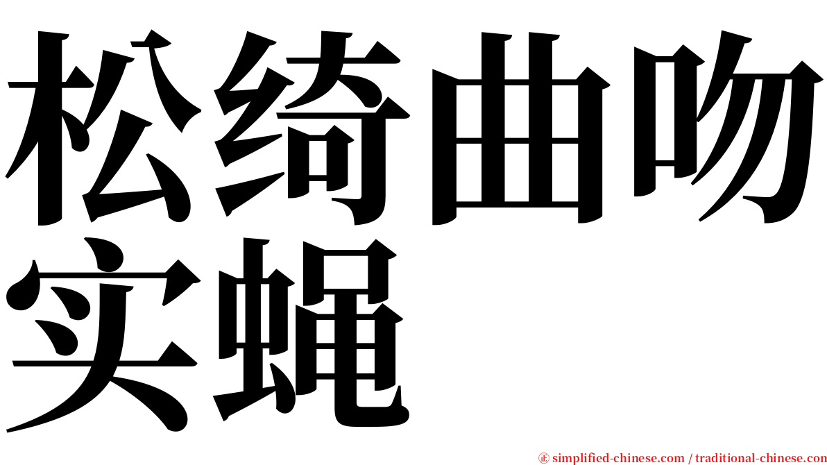 松绮曲吻实蝇 serif font