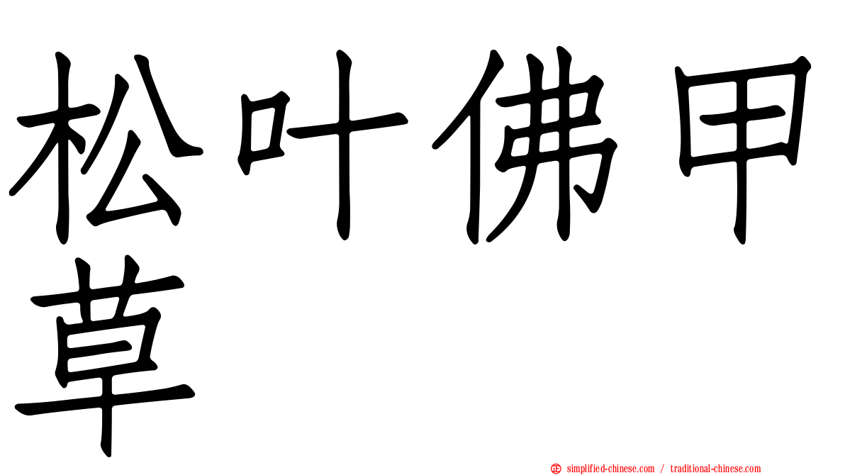 松叶佛甲草