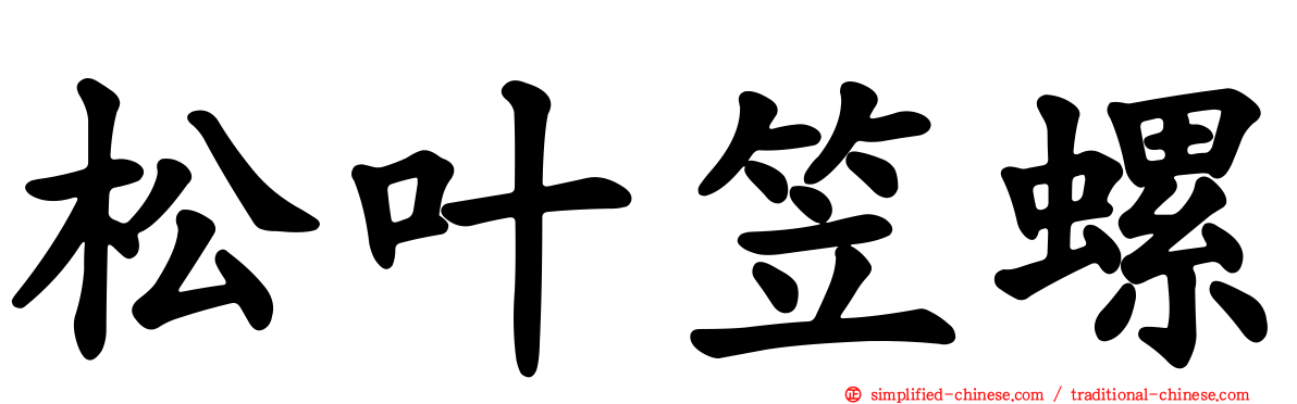 松叶笠螺