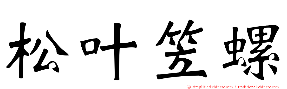 松叶笠螺
