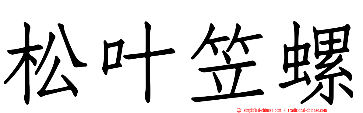 松叶笠螺