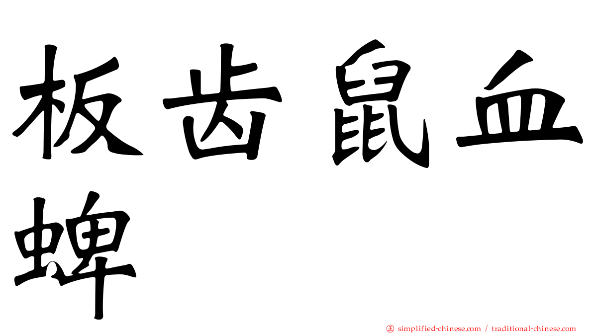 板齿鼠血蜱