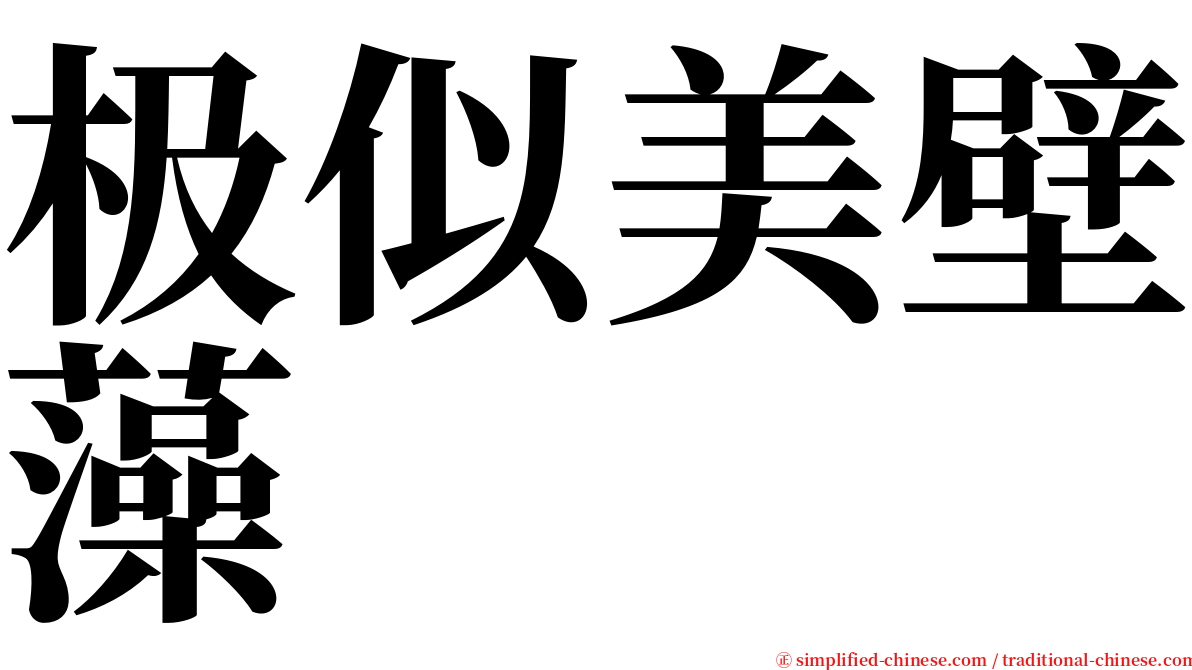 极似美壁藻 serif font