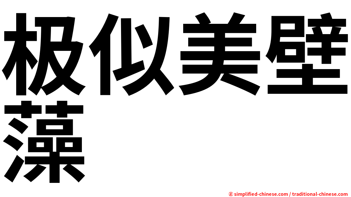 极似美壁藻