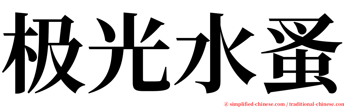 极光水蚤 serif font