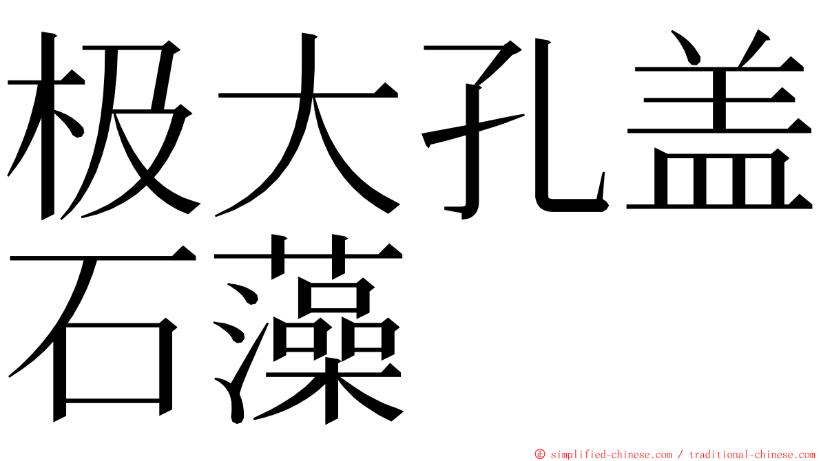极大孔盖石藻 ming font