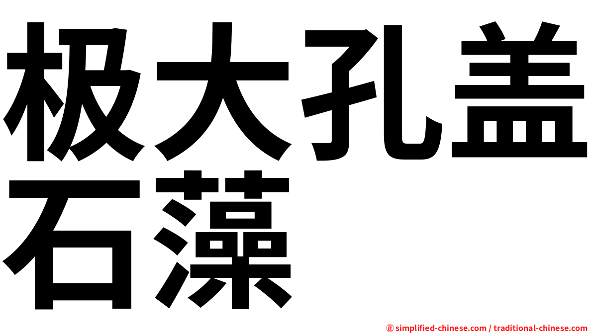 极大孔盖石藻
