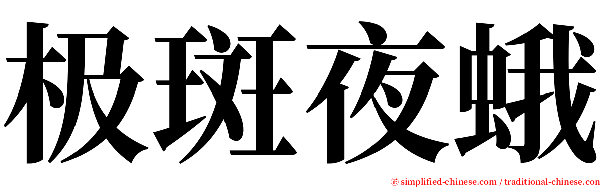 极斑夜蛾 serif font