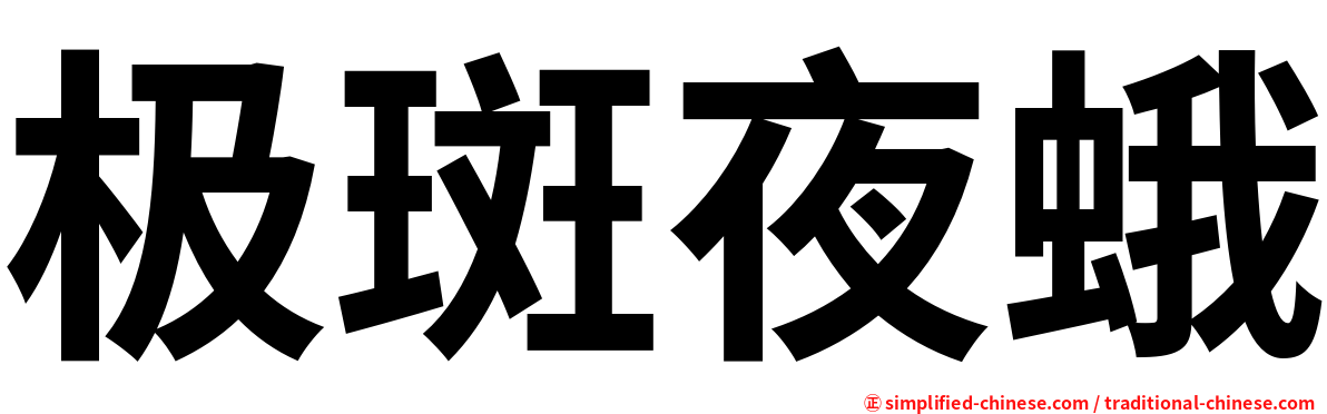 极斑夜蛾