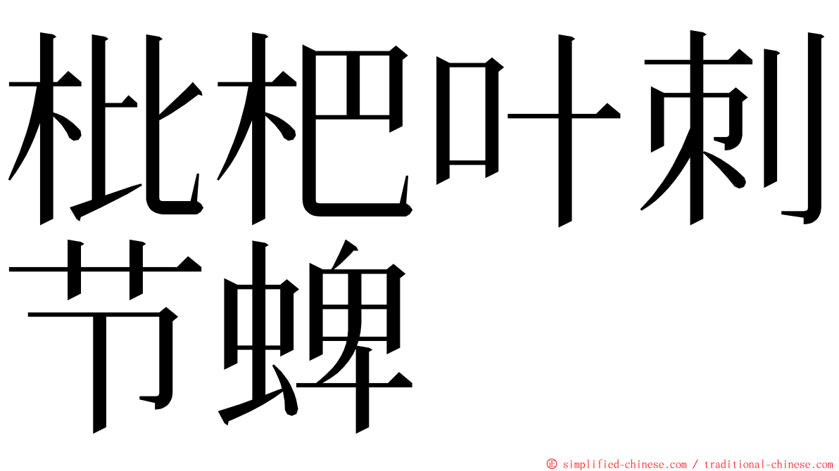 枇杷叶刺节蜱 ming font