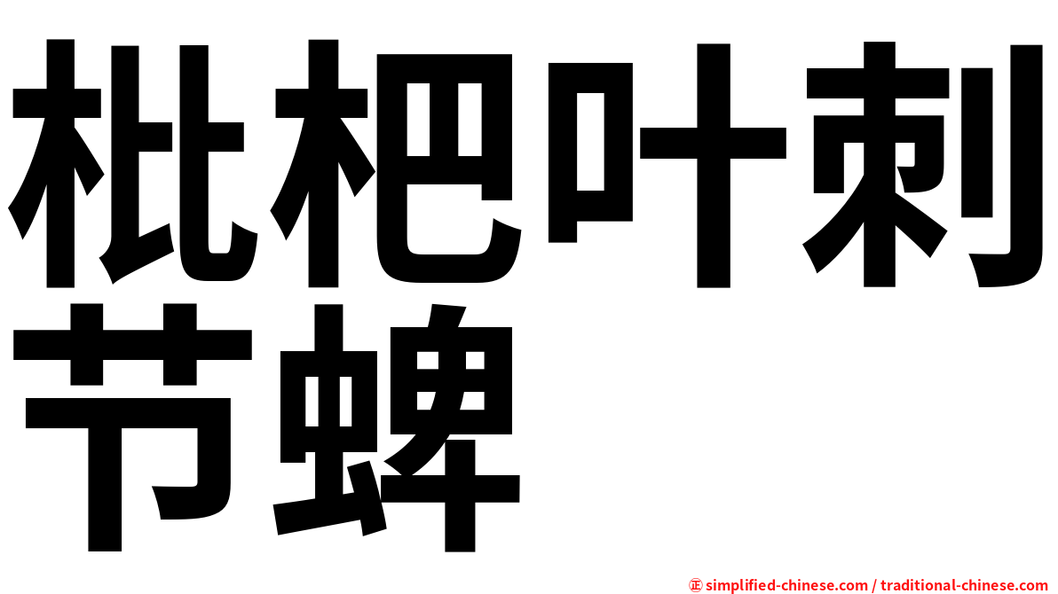 枇杷叶刺节蜱