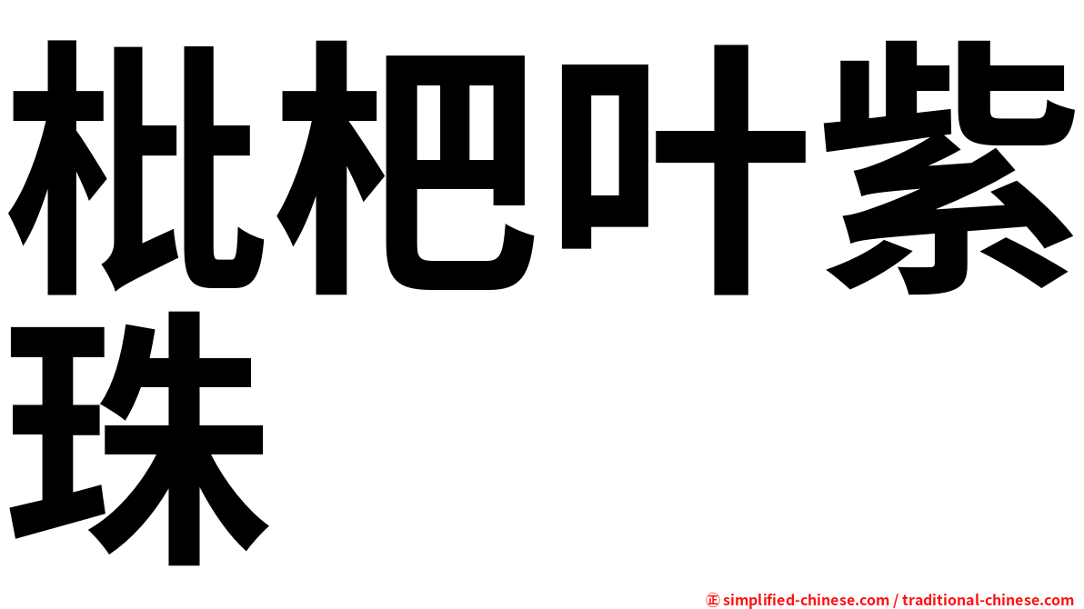 枇杷叶紫珠