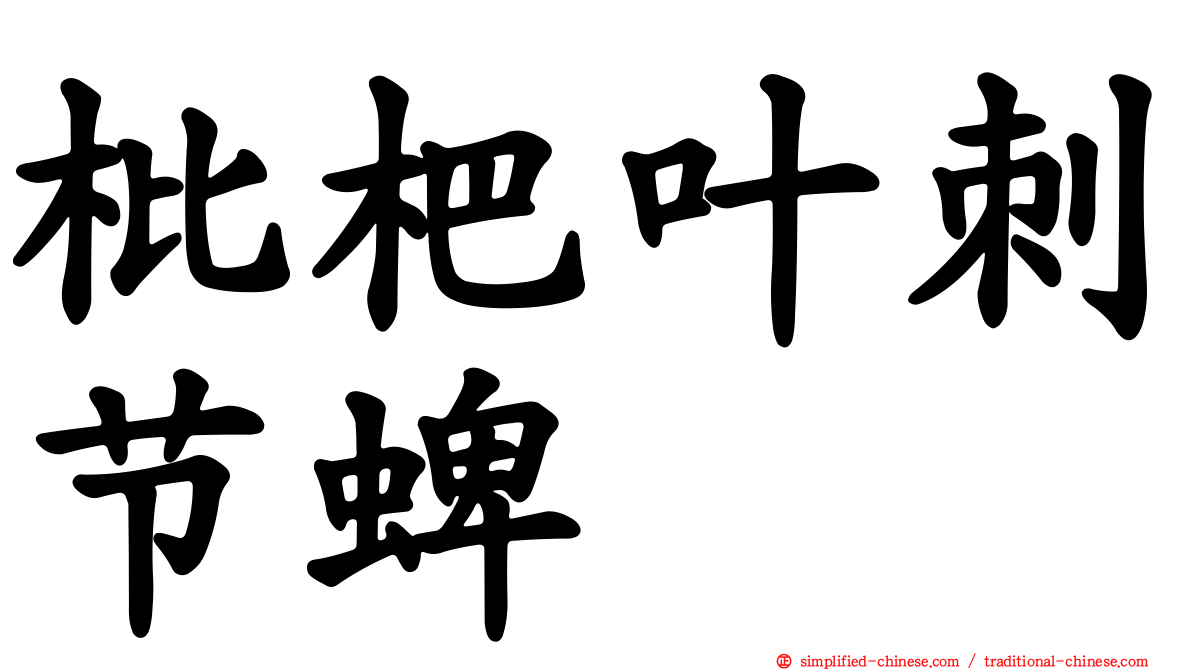 枇杷叶刺节蜱
