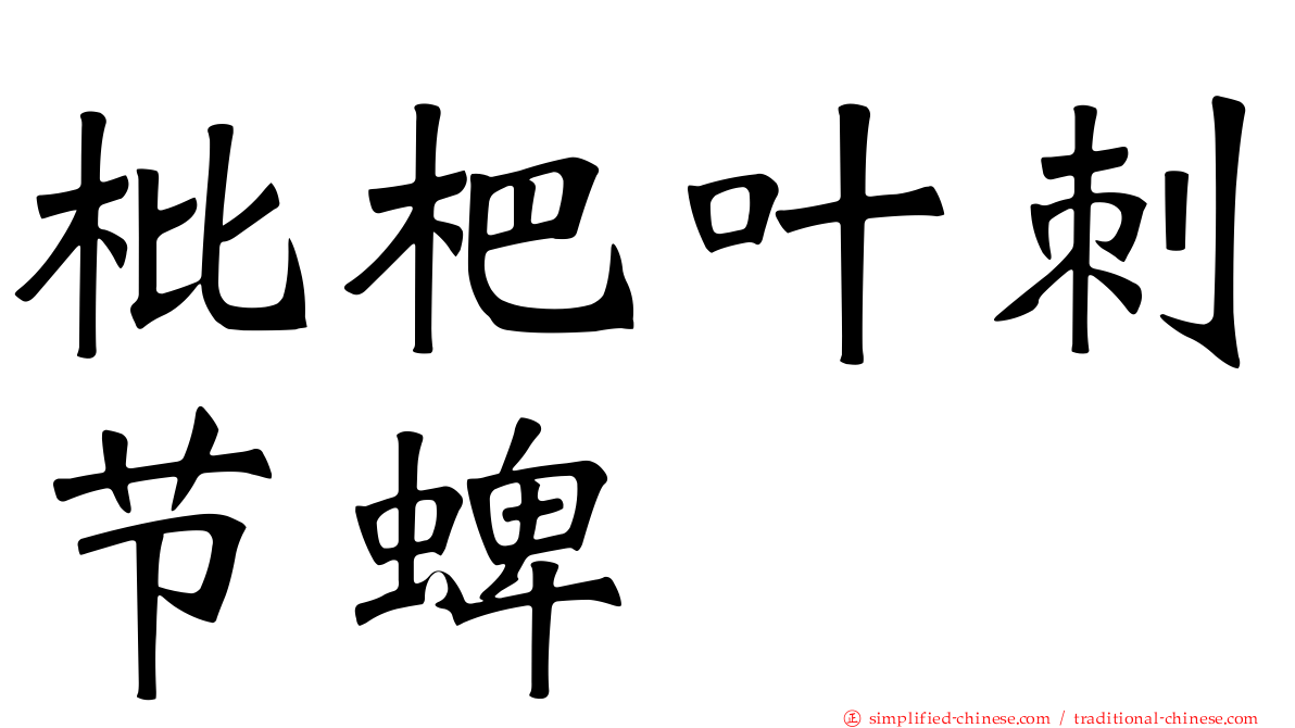 枇杷叶刺节蜱