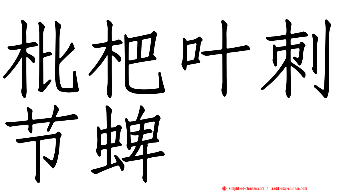枇杷叶刺节蜱