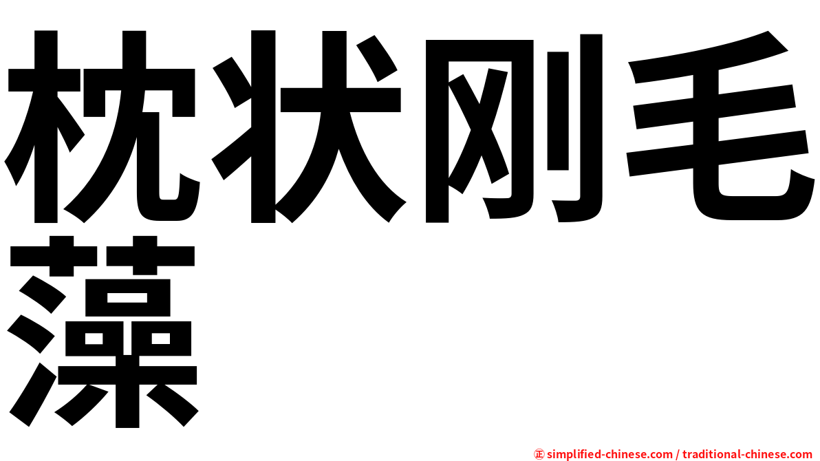 枕状刚毛藻