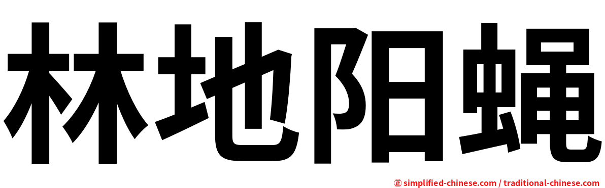 林地阳蝇