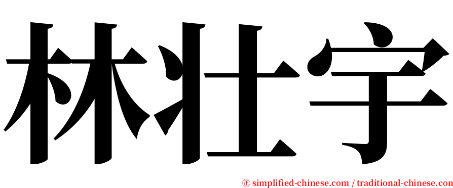 林壮宇 serif font