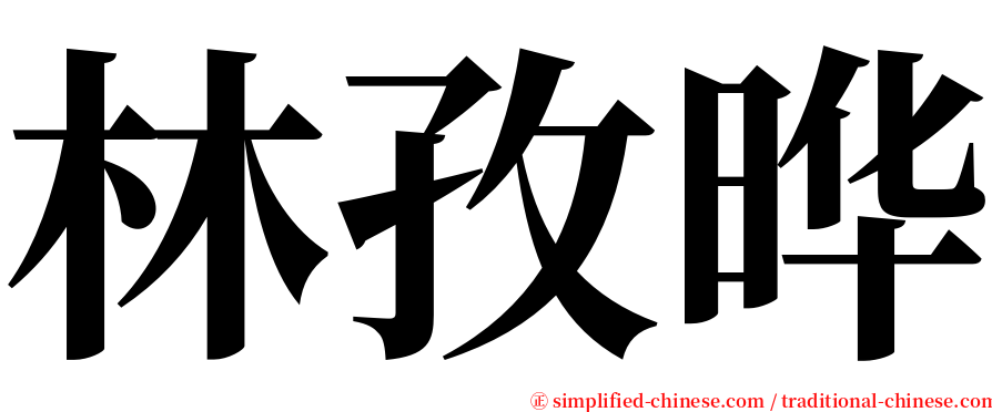 林孜晔 serif font