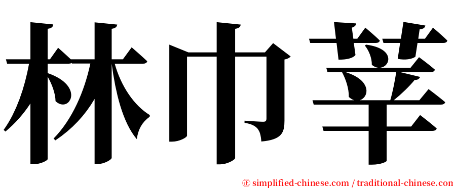 林巾莘 serif font