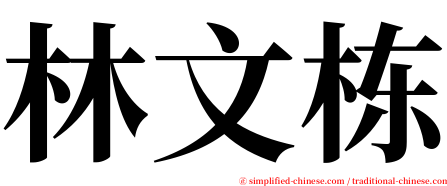 林文栋 serif font