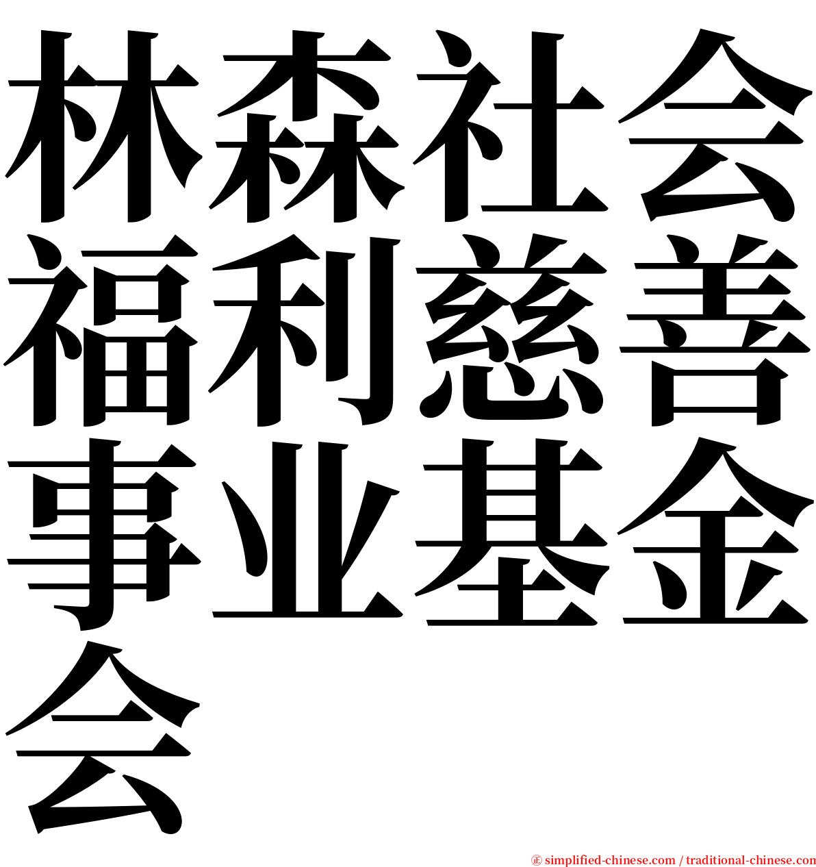 林森社会福利慈善事业基金会 serif font