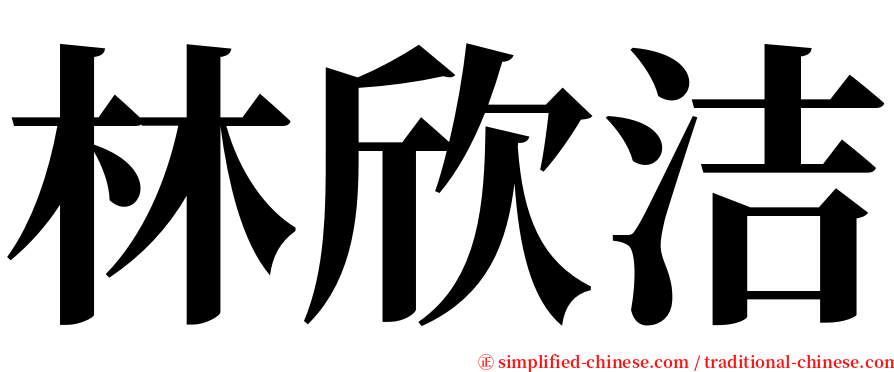 林欣洁 serif font