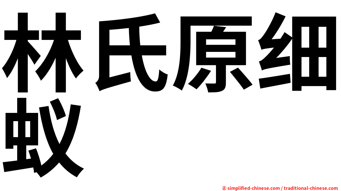 林氏原细蚁
