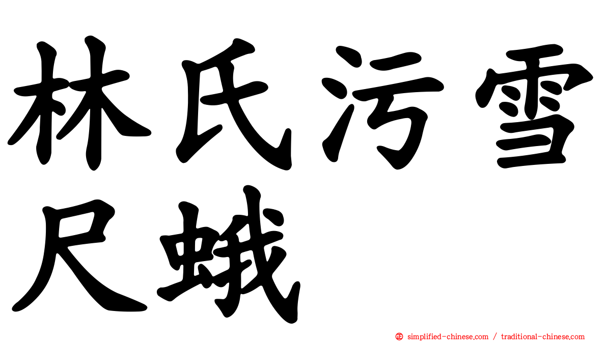 林氏污雪尺蛾