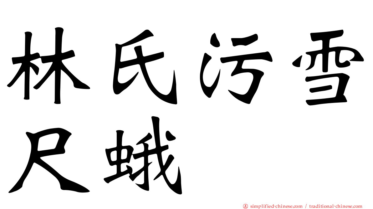 林氏污雪尺蛾