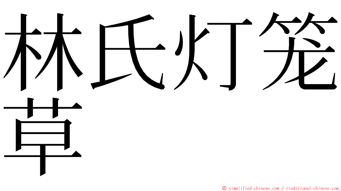 林氏灯笼草 ming font