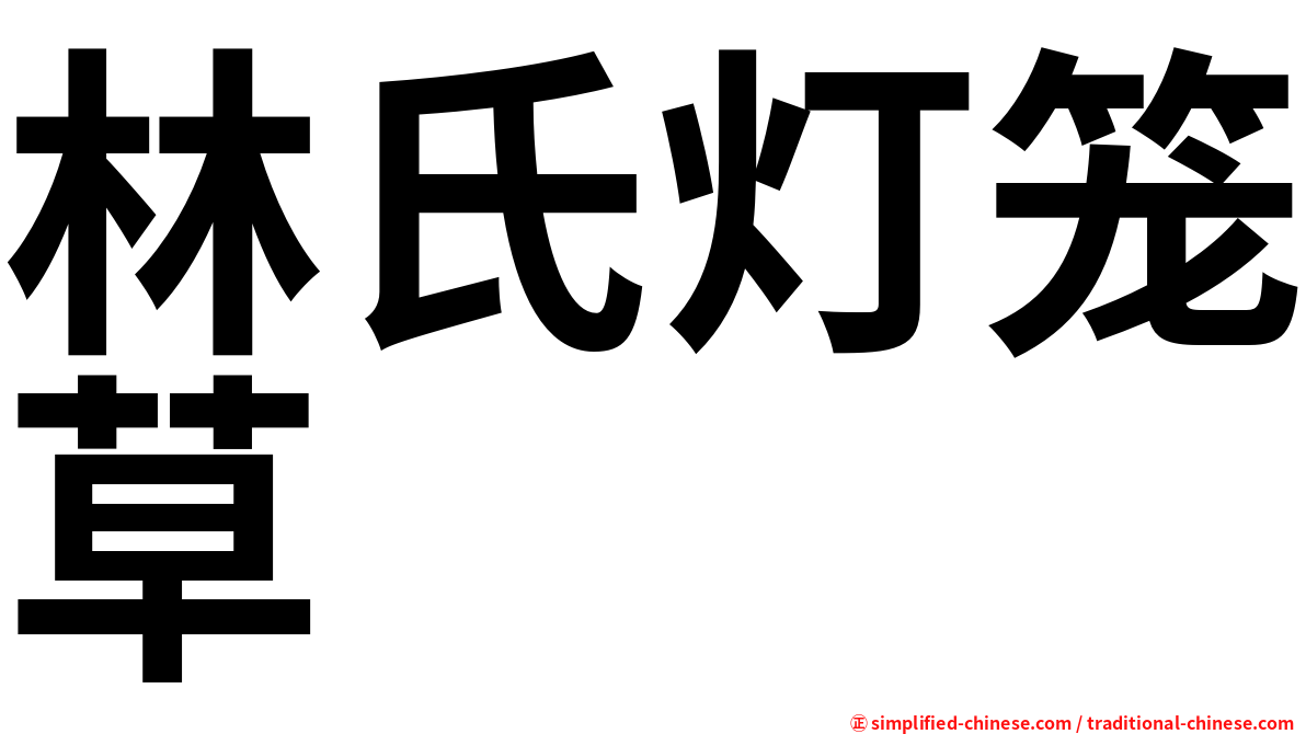 林氏灯笼草