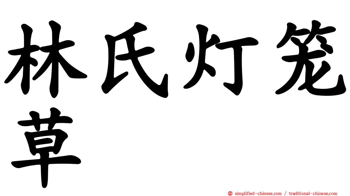 林氏灯笼草