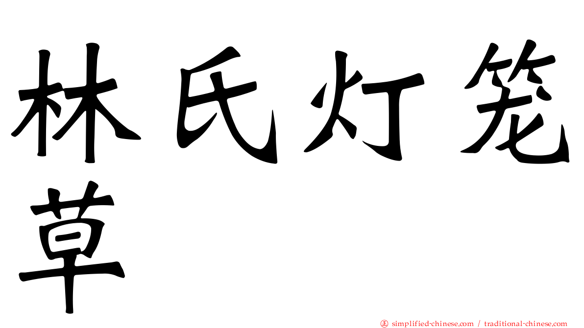 林氏灯笼草