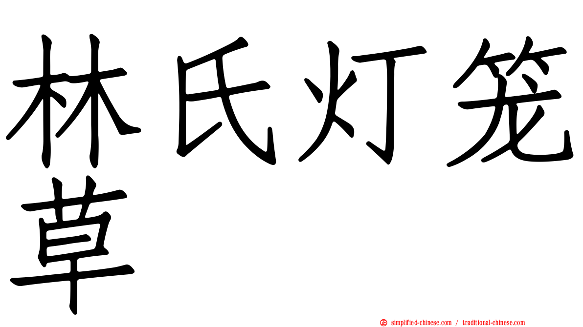 林氏灯笼草