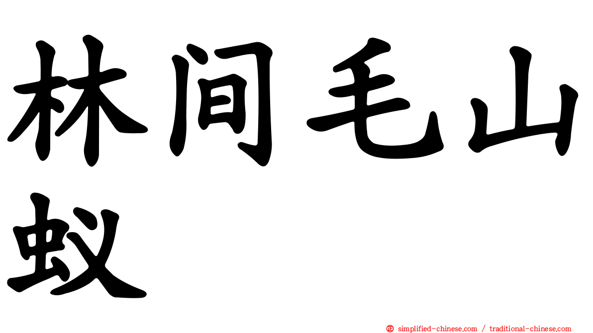 林间毛山蚁