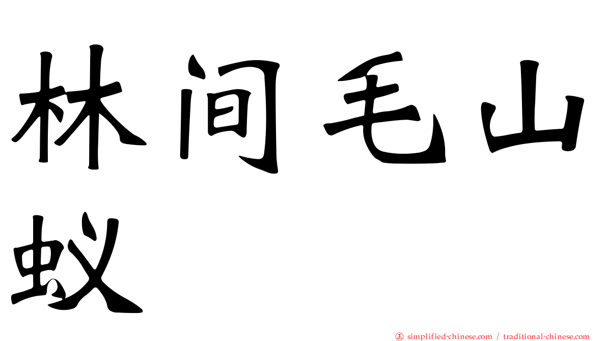 林间毛山蚁